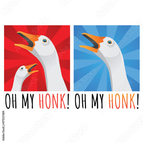 Funny T-shirt print geeses, honk, vector