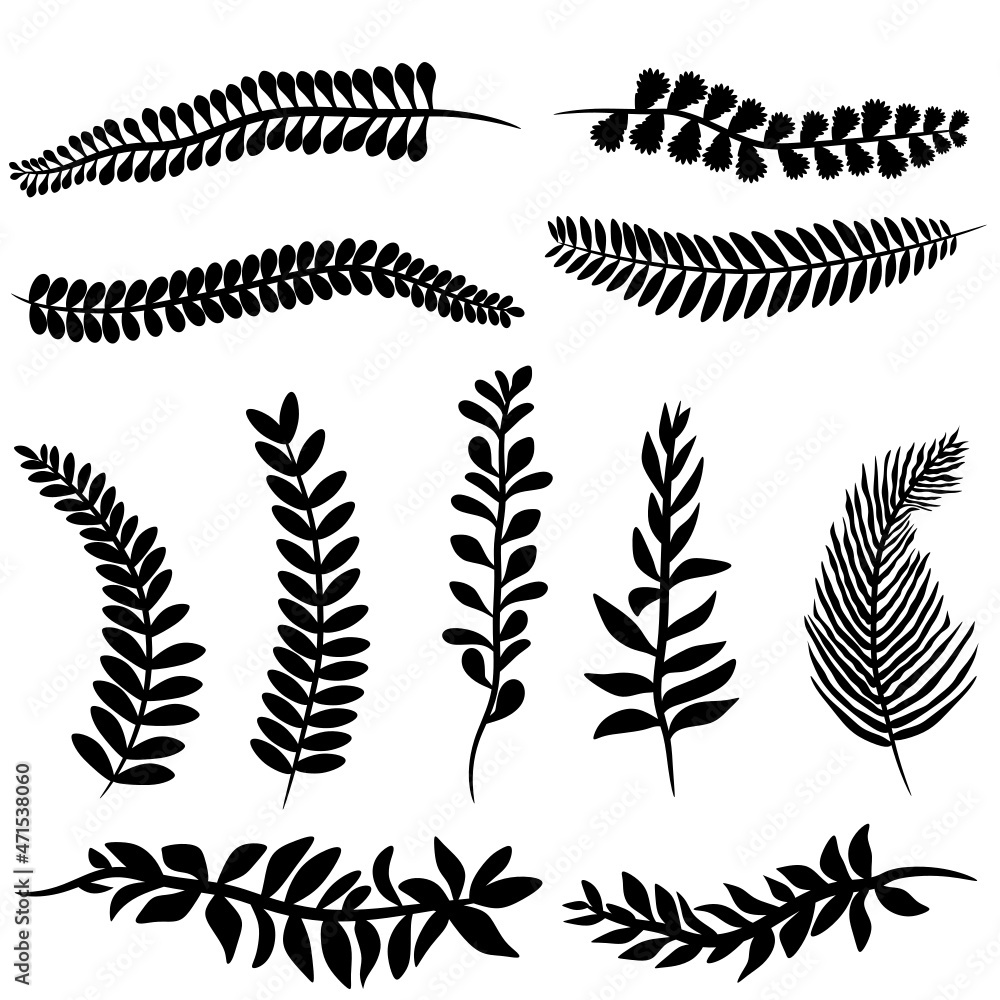 set of silhouettes of leaves svg vector illustraton set of silhouettes of leaves svg vector illustraton