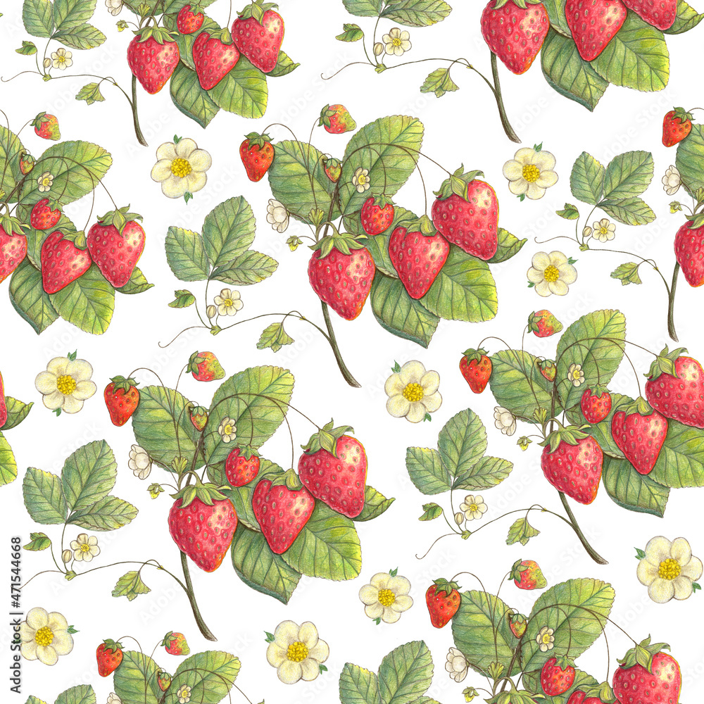 Strawberry berry seamless pattern. Hand drawn illustration. Design for vintage packaging. Color sketch. Colored pencil drawing.