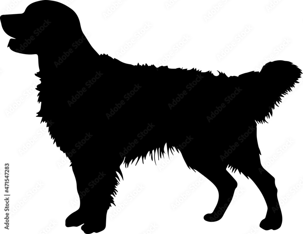 Golden Retriever Silhouettes SVG Golden Retriever SVG Golden Retriever Silhouettes SVG Golden Retriever SVG