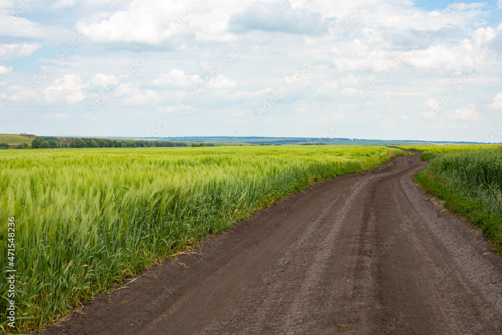 Road through a wheat field stretching to the horizon, idyllic rural agricultural landscape Road through a wheat field stretching to the horizon, idyllic rural agricultural landscape