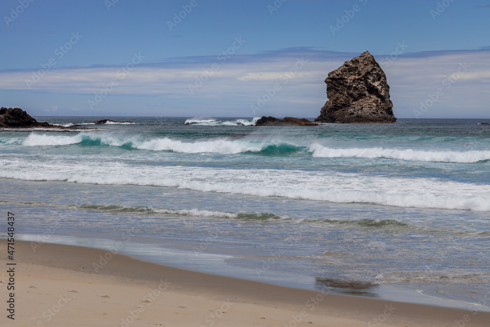 View offshore from Sandfly Bay in the South Island of New Zealand