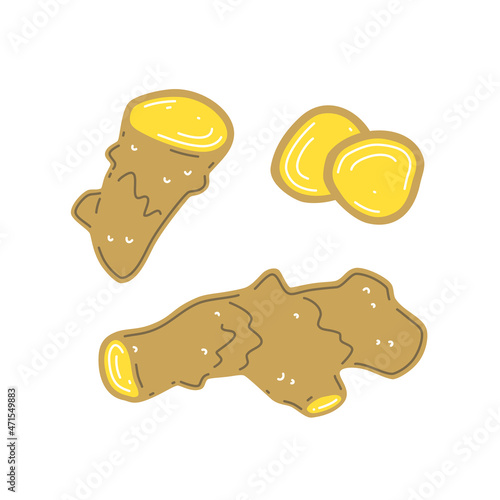 Fresh ginger rhizome, chopped ginger. Vector flat illustration