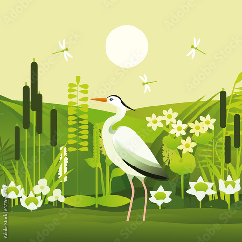 Heron in a pond among aquatic flowers and plants