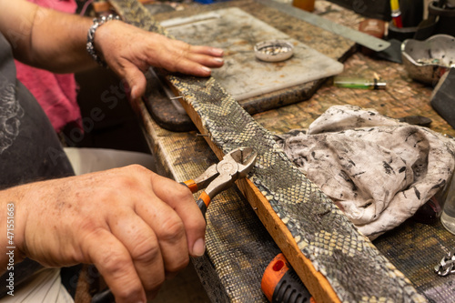 Latin saddler working on handicrafts, belts, bags and wallets on snakeskin leather. photo