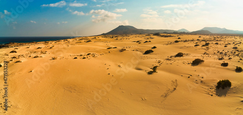 wind blown sand dunes in the natural park corralejo fuerteventura