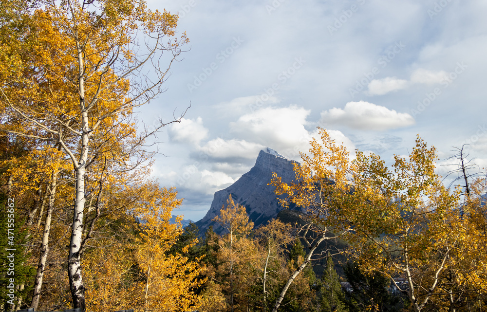 Fototapeta premium View of Mt Rundle from Mount Norquay in Alberta, Canada