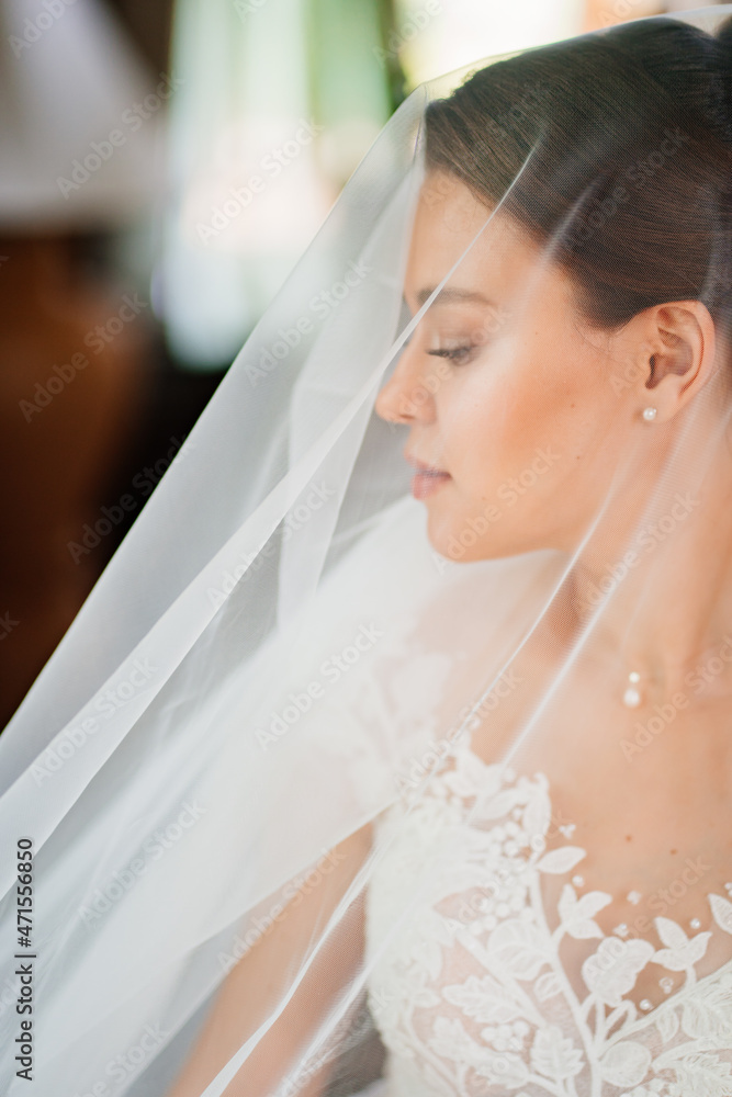 portrait of a beautiful and gentle bride under a veil. femininity and beauty. portrait of a beautiful and gentle bride under a veil. femininity and beauty.