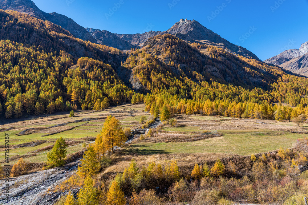 Beautiful autumnal landscape in the Varaita Valley, near the village of Chianale, Piedmont, northern Italy.
