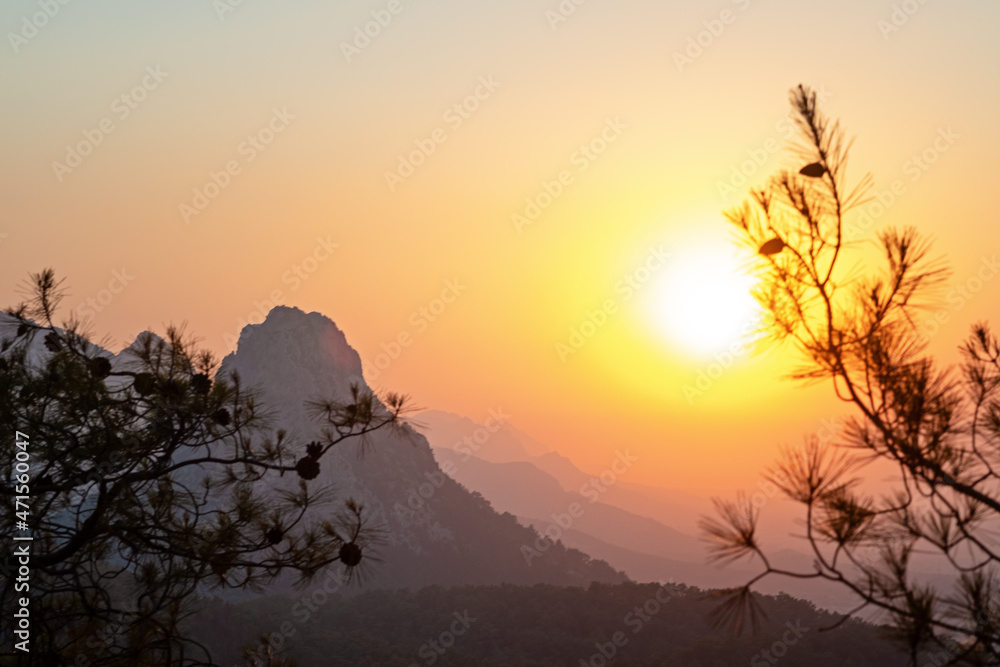 Scenic view of mountains against sky during sunset,through trees . Scenic view of mountains against sky during sunset,through trees .