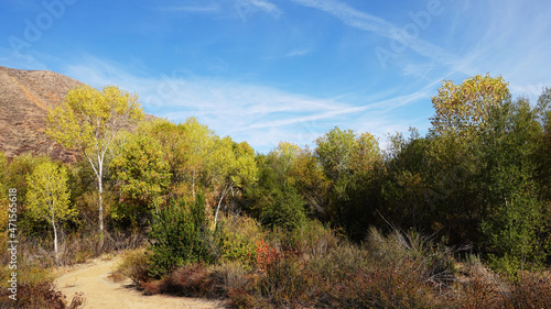 Fall colors along hiking trail in southern California.