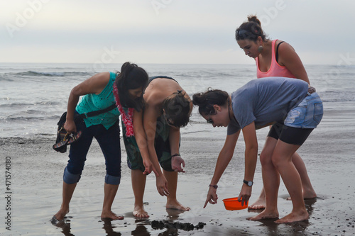 4 women look for stones, shells, emerita analoga, on the shore of a beach at sunset.