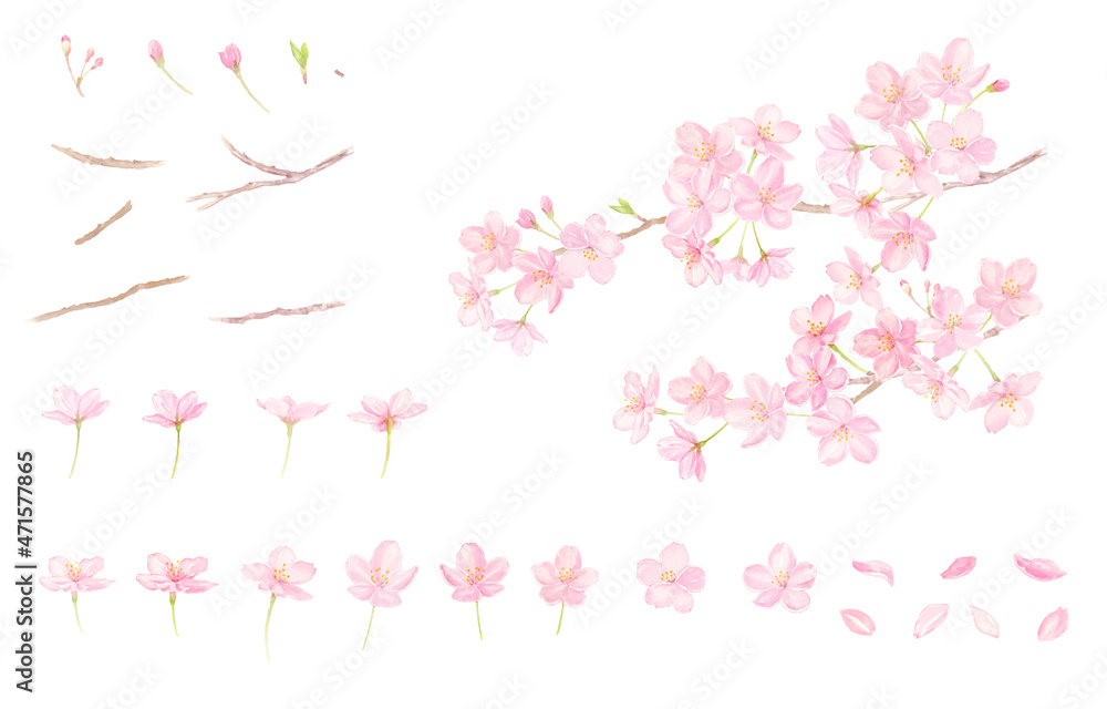 透明水彩で描いた桜の枝　ベクターイラストセット