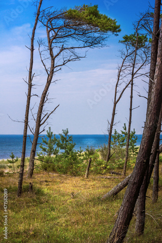 Baltic Sea