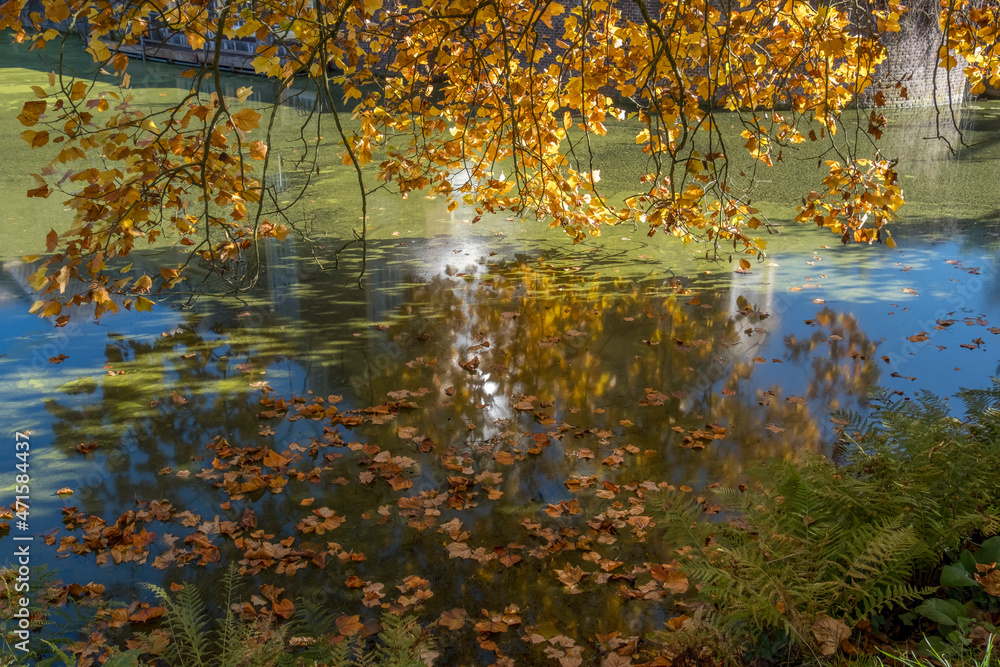 Herbstblätter Herbstblätter
