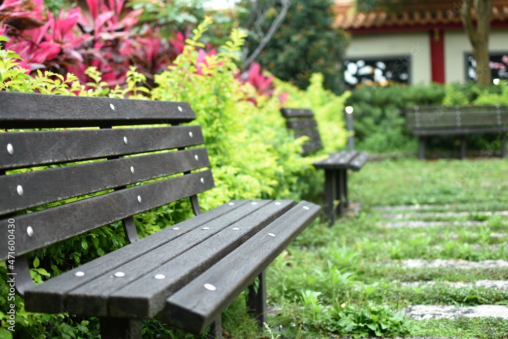 Empty wooden benches in a lush peaceful garden 