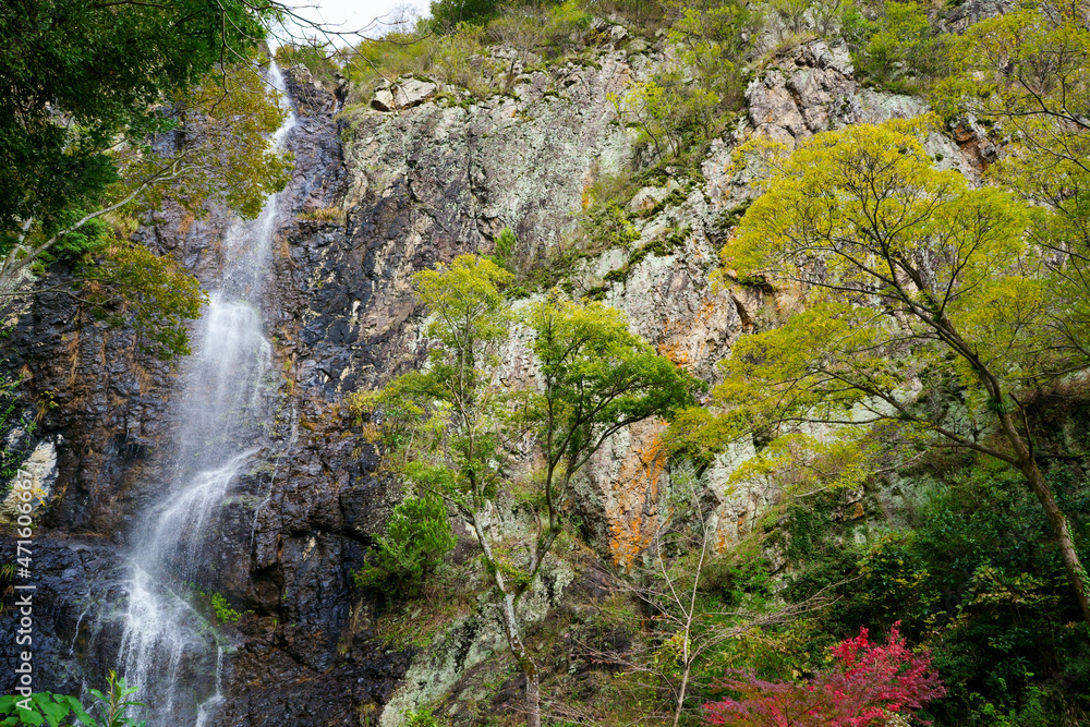 不動の滝(香川県三豊市)