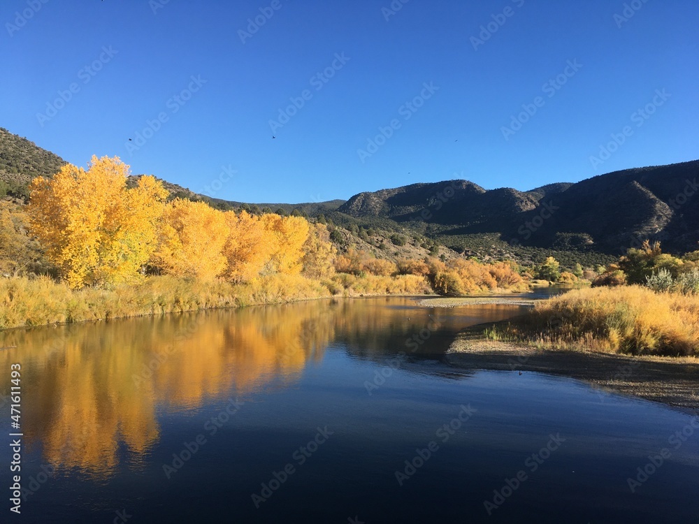 Fall foliage, Rio Grande, New Mexico