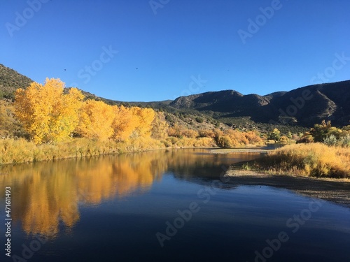 Fall foliage, Rio Grande, New Mexico