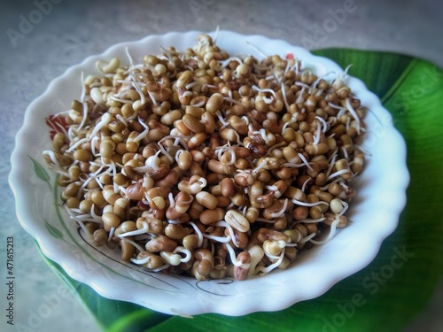 Heap of fresh Sprouted moth beans or math beans in white background photo