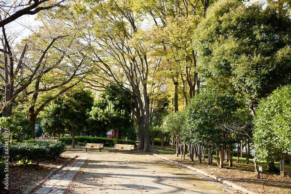 無人の東京の公園
