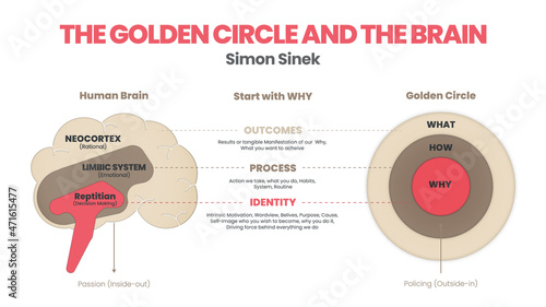 The Golden Circle and brain illustration of Simon Sinek are 3 elements starting with a Why question. Diagram vector presentation inform the origin of human performance or behavior of user target goal photo