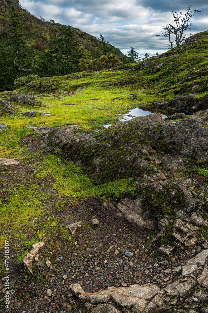 summit of a small hill covered with green moss under the overcast cloudy sky