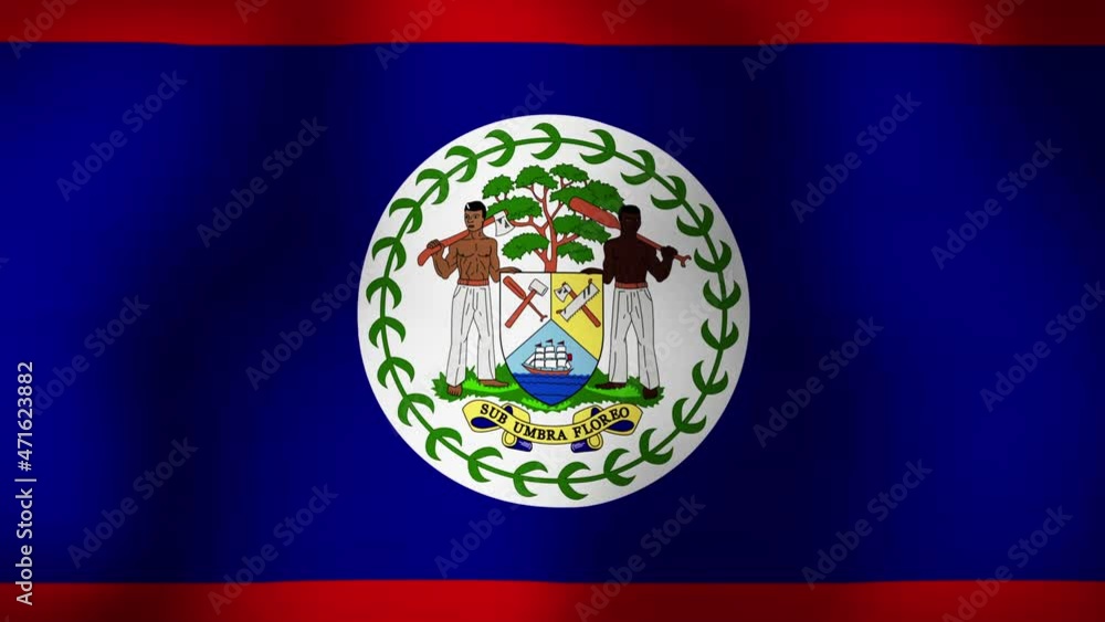 Flag of Belize Close Up Animation Loops Flag of Belize Close Up Animation Loops