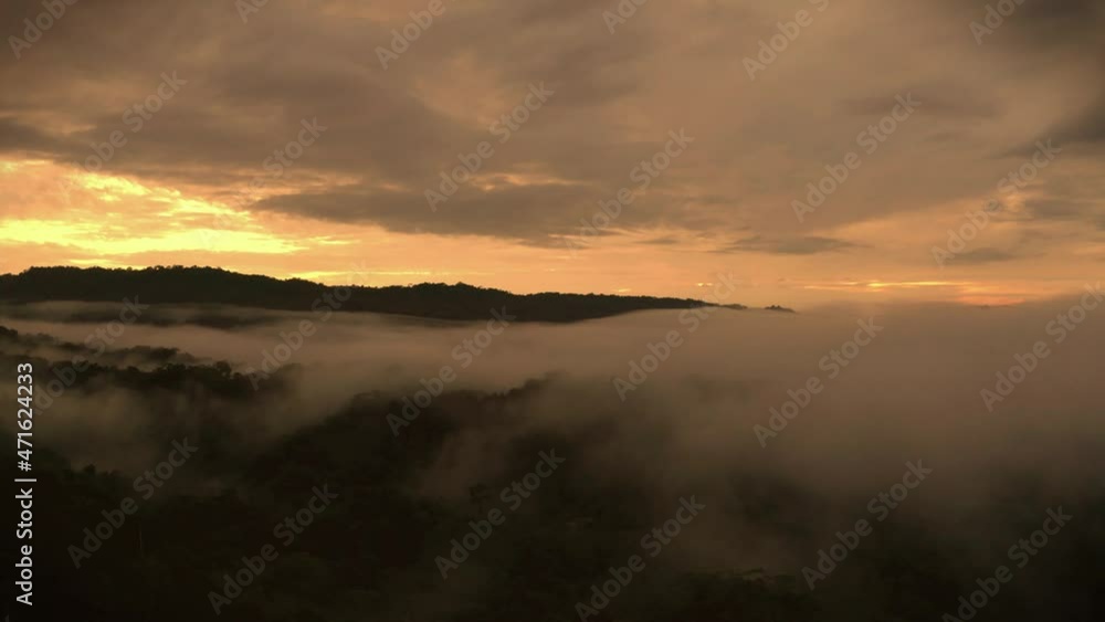 Flying through the fog hanging over the canopy of a tropical forest: tree crowns in the Amazon forest early in the morning Flying through the fog hanging over the canopy of a tropical forest: tree crowns in the Amazon forest early in the morning