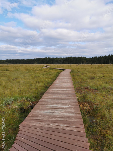 A deck of brown wooden boards over a swamp with yellowed grass against a beautiful sky with clouds.