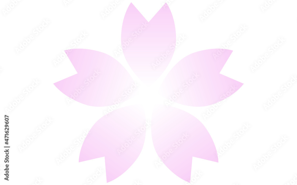 桜の花、ピンクのグラデーションのかかった花びら 桜の花、ピンクのグラデーションのかかった花びら