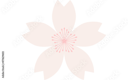 桜の花、薄ピンクの花びらとピンクの雄しべ © TKM