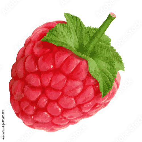 raspberry isolated on white