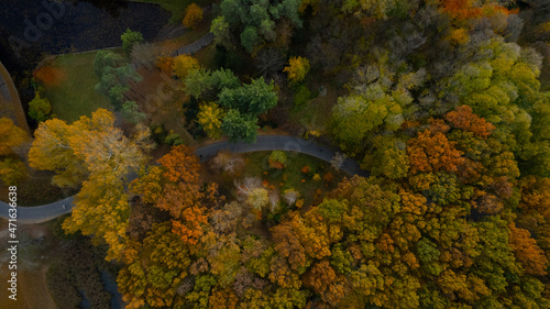 Autumn park top aerial view. Landscape with bright colored trees and people on pathways