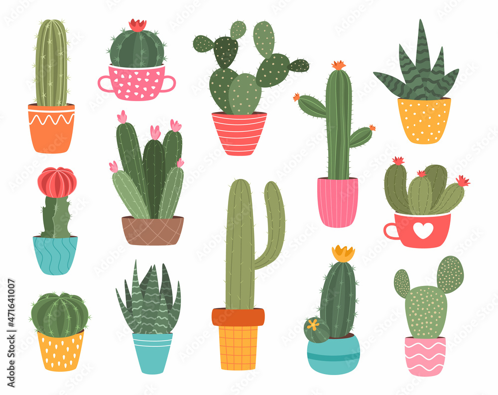 Cactus in pots. Succulent plant home decoration, cute cartoon garden cactus with blossom and thorns. Spiky floral greenery, botanical blooming decor elements. Houseplants vector isolated set Cactus in pots. Succulent plant home decoration, cute cartoon garden cactus with blossom and thorns. Spiky floral greenery, botanical blooming decor elements. Houseplants vector isolated set