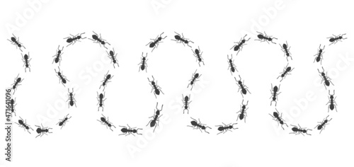 A winding trail of ants. Insects march along the line. Vector