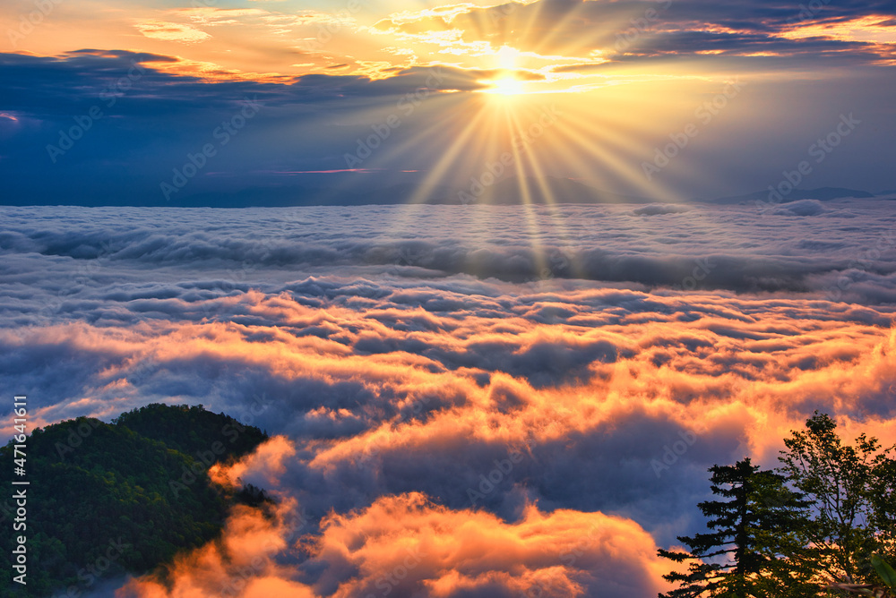 津別峠の雲海に差し込む太陽光線