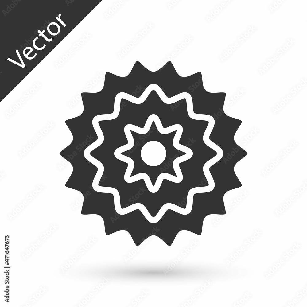 Grey Bicycle cassette mountain bike icon isolated on white background. Rear Bicycle Sprocket. Chainring crankset with chain. Vector