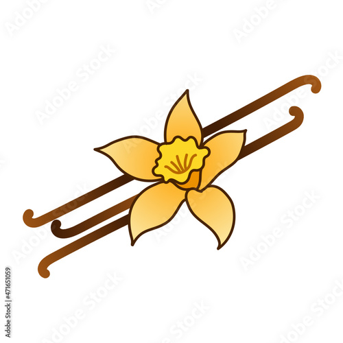 vanilla flower with vanilla bean sticks vector llustration logo icon clipart 