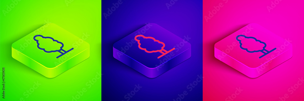 Isometric line Tree icon isolated on green, blue and pink background. Forest symbol. Square button. Vector Isometric line Tree icon isolated on green, blue and pink background. Forest symbol. Square button. Vector