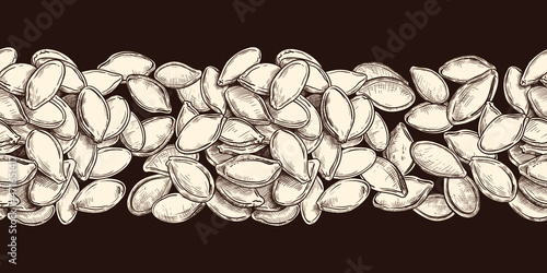 
Hand-drawn pumpkin seeds border seamless pattern. Vector vintage design on a dark brown background.