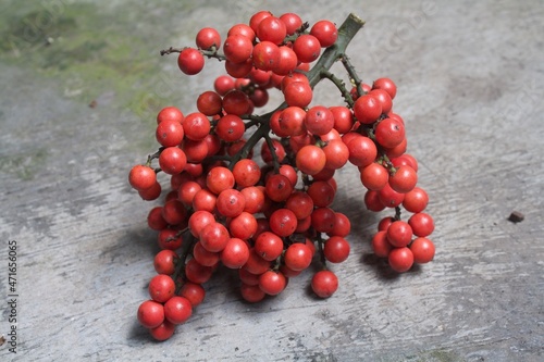 South bogor,indonesia.november 20-2021: red fruit that fell in an asia garden