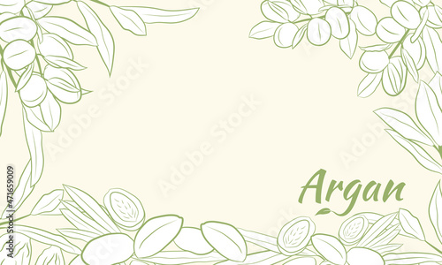 Sketch of branch argania  with fruits. Hand-drawn illustration. Branch of argan with nuts. Cosmetic and medical plant. Set of argania tree.