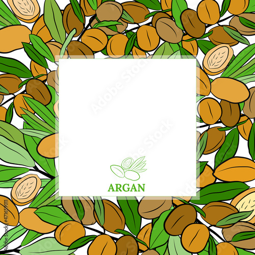 Sketch of branch argania  with fruits. Hand-drawn illustration. Branch of argan with nuts. Cosmetic and medical plant. Set of argania tree.