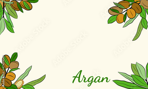 Sketch of branch argania  with fruits. Hand-drawn illustration. Branch of argan with nuts. Cosmetic and medical plant. Set of argania tree.