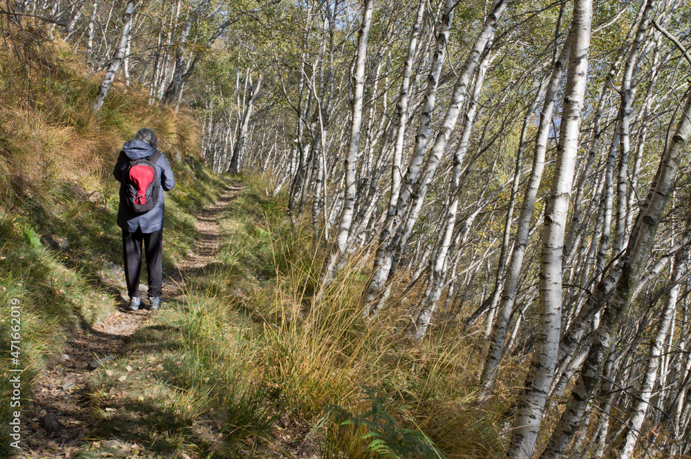 Naklejka premium mature woman walking in the woods