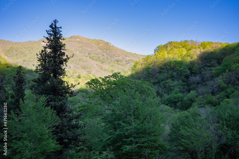 Mountain tops, overgrown with lush trees and bushes. Sunset landscape with rocks against the clear blue sky and woods in the foreground. Wilds hiking, tourism, travel, trekking, recreation.