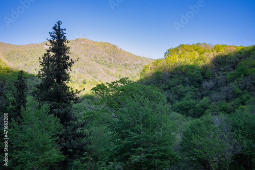Mountain tops, overgrown with lush trees and bushes. Sunset landscape with rocks against the clear blue sky and woods in the foreground. Wilds hiking, tourism, travel, trekking, recreation.