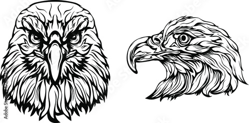 Hand drawn eagle head emblem. Mascot bird vector. Logo illustration.
