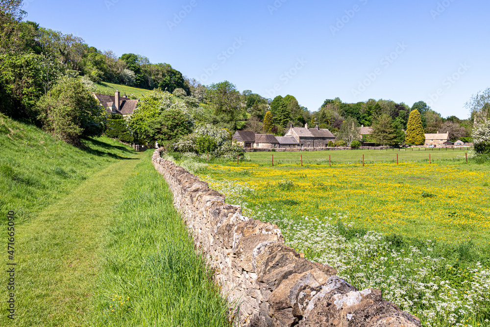 A grassy public footpath in early June in the Cotswold village of Naunton in the valley of the River Windrush, Gloucestershire UK